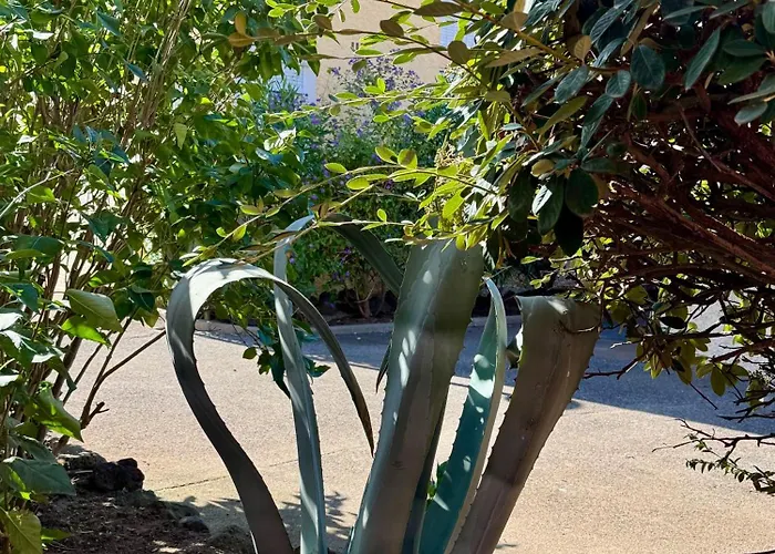 Appartamento De Charme - 6pers - Histoire De Clés